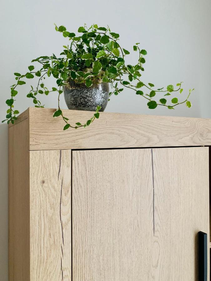 Ca La Rosalia Arbeca Apartment Екстериор снимка